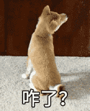 柴犬一集表情包