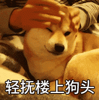 柴犬一集表情包