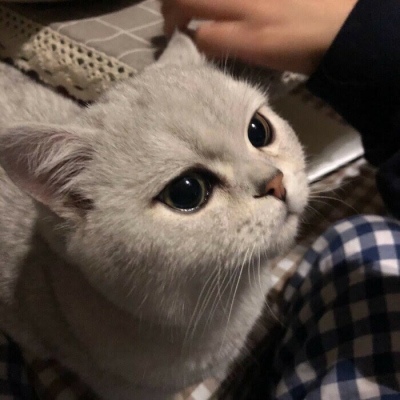 优质逗比帅气男生头像