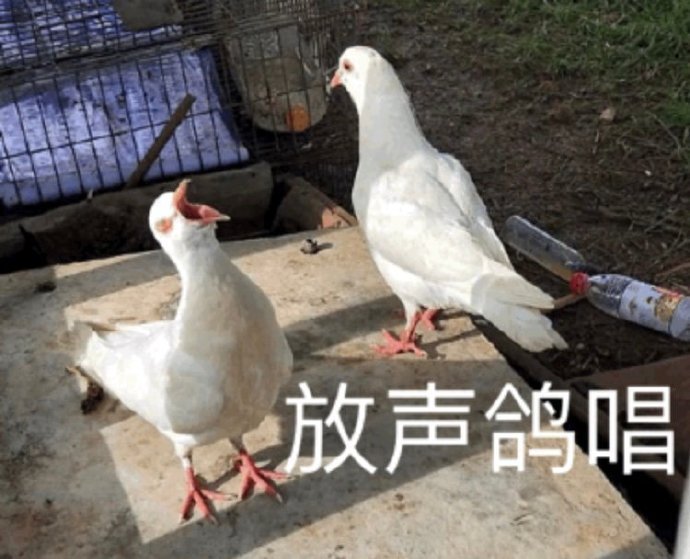 今日份沙雕表情合集（二）