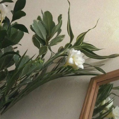 艺术ins风景静物背景图