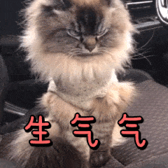 搞笑无厘头微信斗图表情包（一）