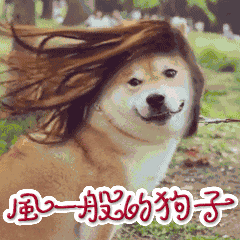 微信搞笑无厘头表情包6/3(一)