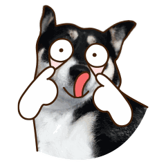 微信搞笑无厘头表情包6/3(二)