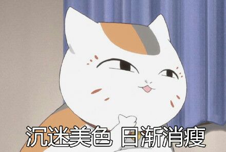 夏目友人帐-肥猫咪可爱搞笑表情包