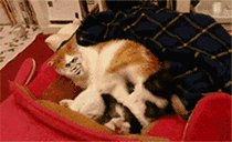 微信搞笑无厘头表情包6/3(一)