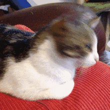 微信搞笑无厘头表情包6/3(三)