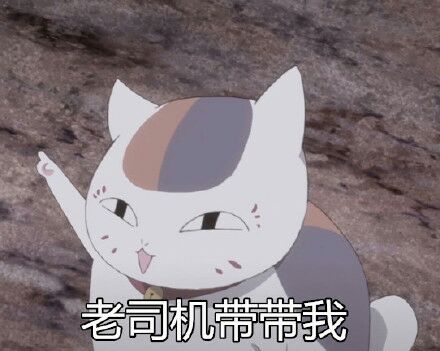 夏目友人帐-肥猫咪可爱搞笑表情包