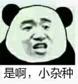 微信近期斗图恶搞表情包2020/6/3(二)