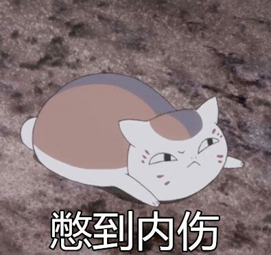 夏目友人帐-肥猫咪可爱搞笑表情包