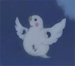 夏目友人帐-肥猫咪可爱搞笑表情包