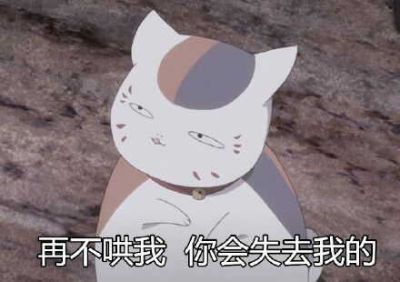 夏目友人帐-肥猫咪可爱搞笑表情包