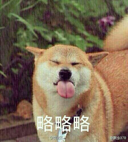 微信近期斗图恶搞表情包2020/6/3(二)