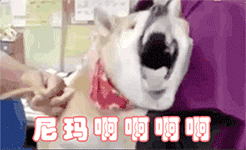 微信搞笑无厘头表情包6/3(一)