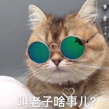 微信近期斗图恶搞表情包2020/6/3(二)