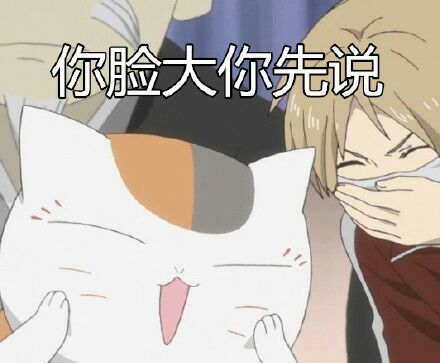 夏目友人帐-肥猫咪可爱搞笑表情包