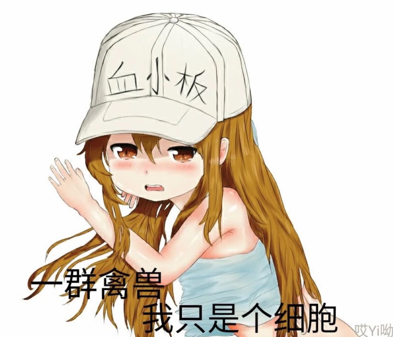 微信近期斗图恶搞表情包2020/6/3