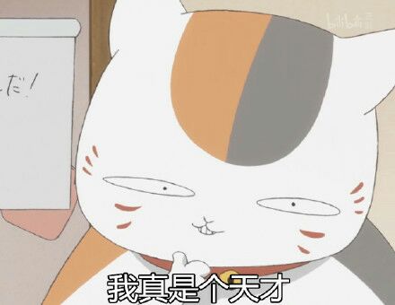 夏目友人帐-肥猫咪可爱搞笑表情包