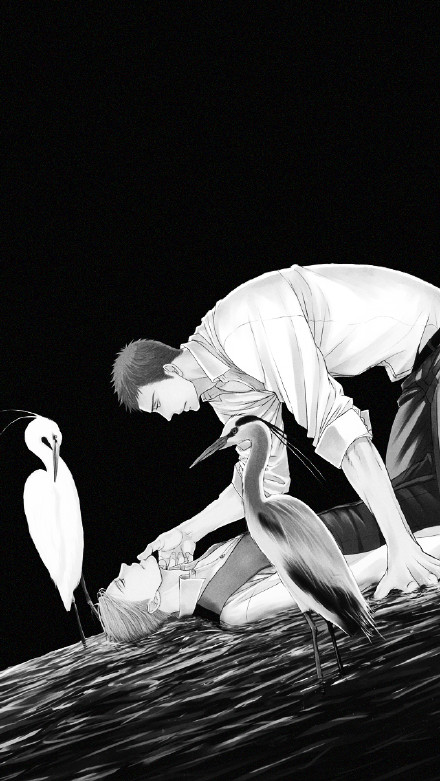 鸣鸟不飞黑白图壁纸