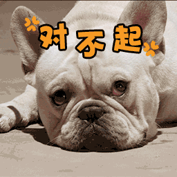 微信搞笑可爱卖萌表情6/4（二）
