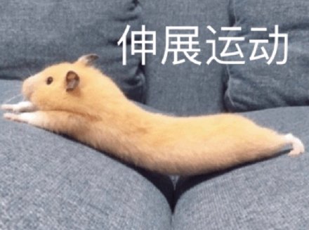 可爱萌宠微信表情包