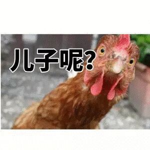 微信近期斗图恶搞表情包2020/6/4（二）