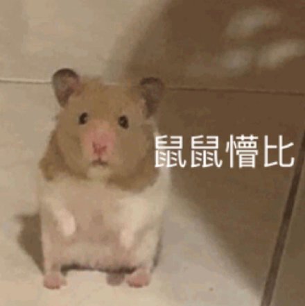 可爱萌宠微信表情包