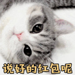 微信搞笑可爱卖萌表情6/4（二）