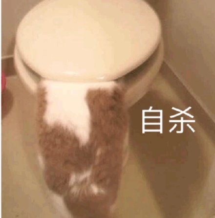 可爱萌宠微信表情包