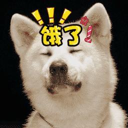 微信搞笑可爱卖萌表情6/4（二）