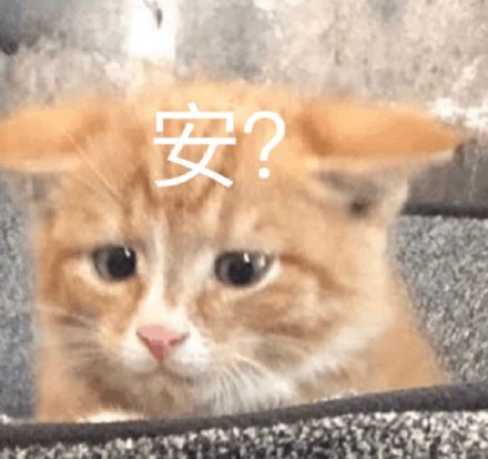 可爱萌宠微信表情包