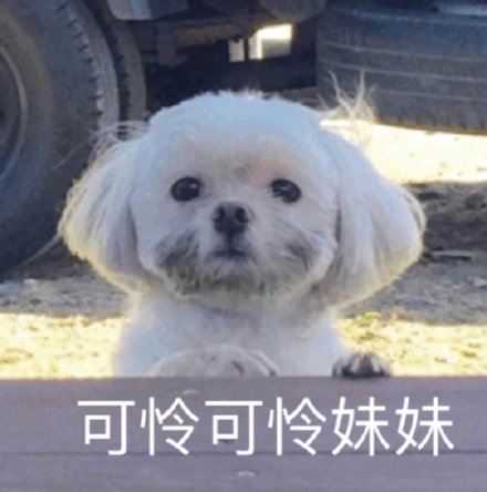 可爱萌宠微信表情包