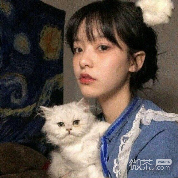 微信简单文艺时尚女生头像