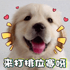 微信搞笑可爱卖萌表情6/4（二）