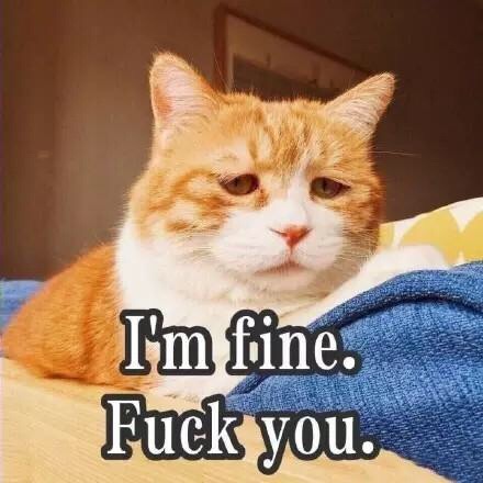 微信近期斗图恶搞表情包2020/6/4（二）