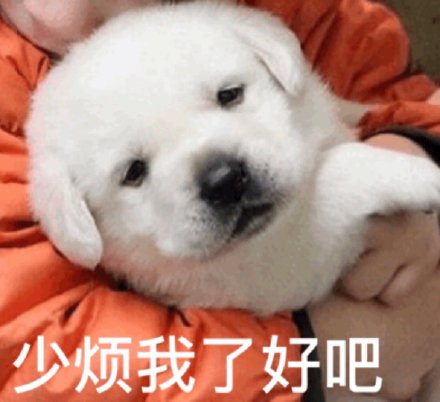 可爱萌宠微信表情包
