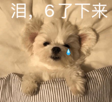 可爱萌宠微信表情包