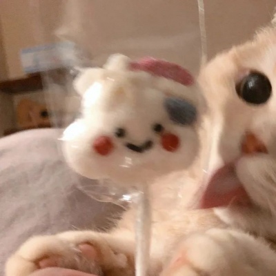 猫咪情头