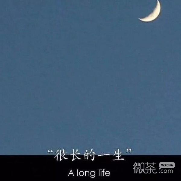 治愈ins个性风伤感背景图