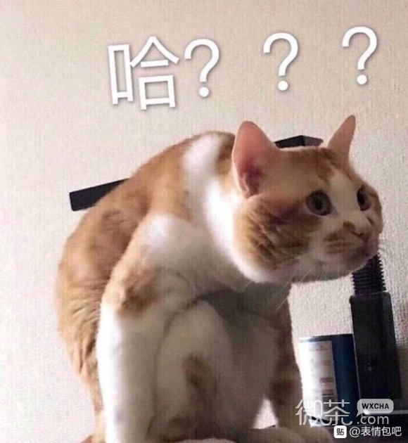 让人虎躯一震软妹必备表情包