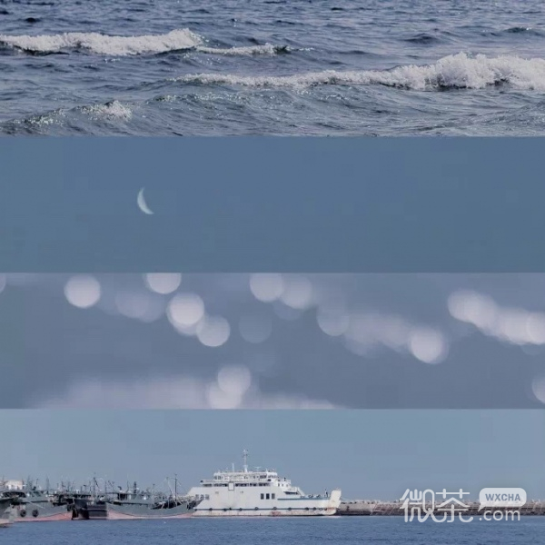 女生唯美海边背景图