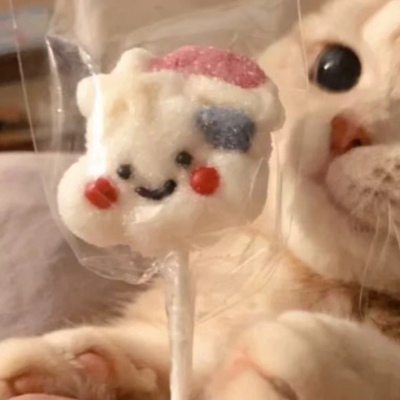 猫咪情头