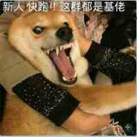 微信搞笑无厘头表情包6/5(一)