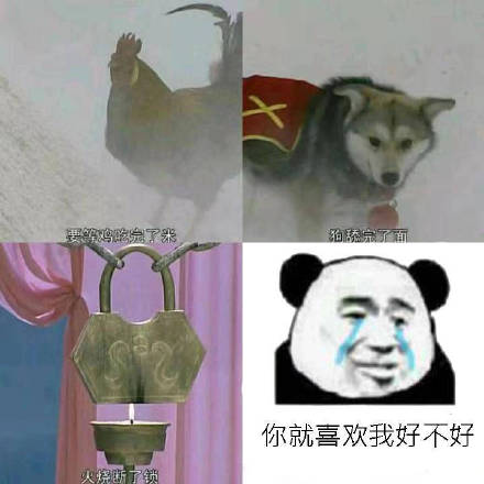 等鸡吃完了米、狗舔完了面、火烧断了锁的时候...微信表情包