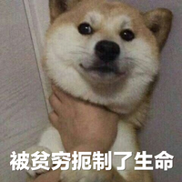 贫穷微信聊天表情包