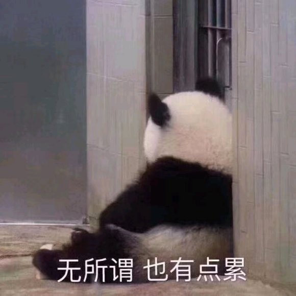 微信近期斗图恶搞表情包2020/6/5(二)