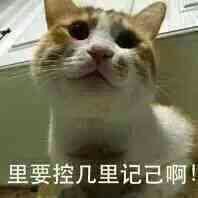 微信近期斗图恶搞表情包2020/6/5