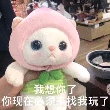 微信近期斗图恶搞表情包2020/6/5(二)