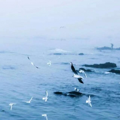 蓝色清新系背景图