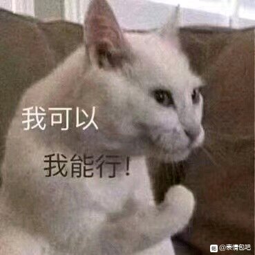 让人虎躯一震软妹必备表情包